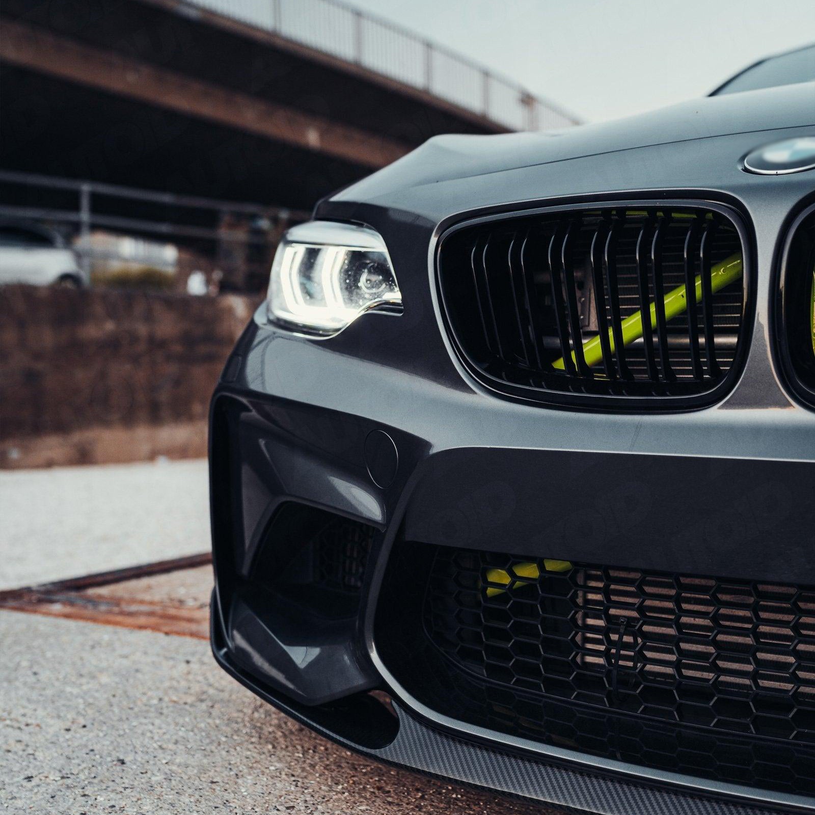 BMW M2 Series F87 Carbon Fiber Front Lip