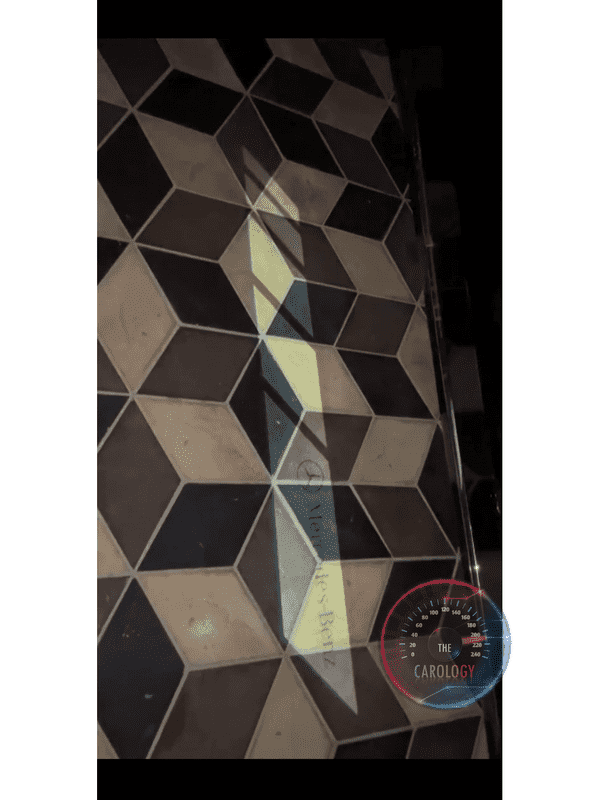 Mercedes Projection Puddle Lights - The Carology